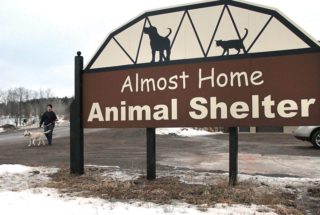Fort dodge ia almost home spca